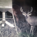 Trail Cam